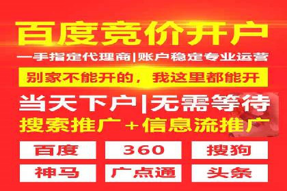 某电商平台的SEM推广策略——代运营公司的实践