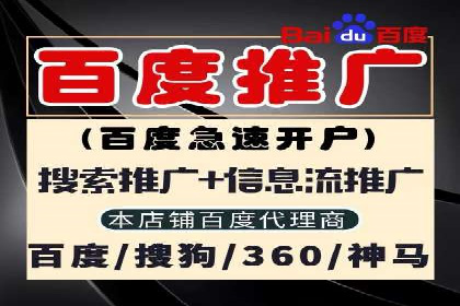 体育赛事宣传中的SEM托管服务：从策划到执行
